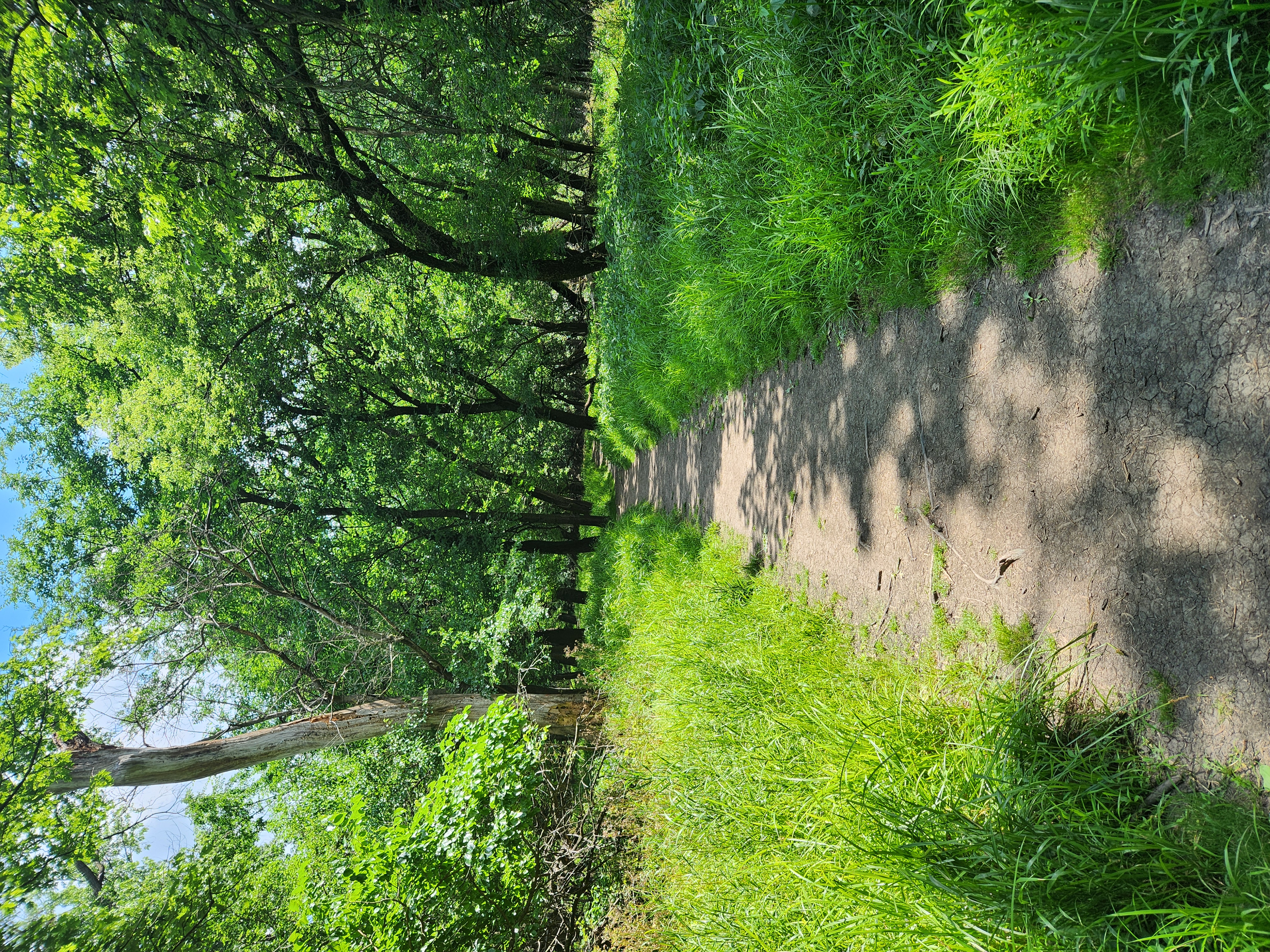 Trail%206-6